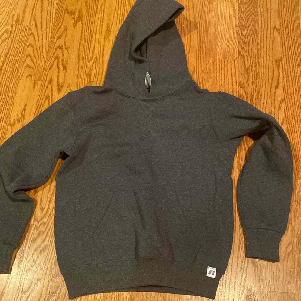 Russel Athletic brand dark gray hoodie.